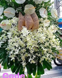 orchids & Anthorium Sympathy Standing