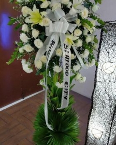 deepest sympathy Standing