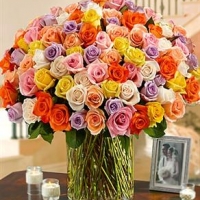 100 Multi Colored Roses