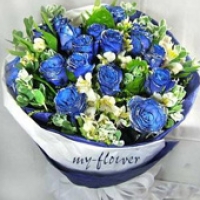 12 Blue Roses