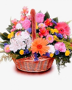 Blooms so Sweet